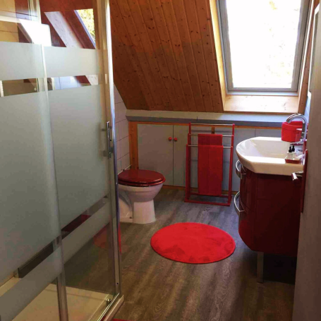 Salle de bain moderne avec douche, lavabo, toilettes et tapis rouge.